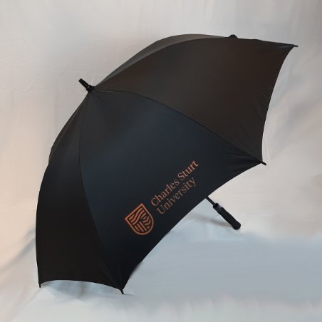University Umbrella